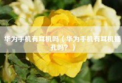 华为手机有耳机吗（华为手机有耳机插孔吗？）
