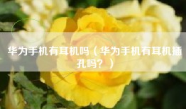 华为手机有耳机吗（华为手机有耳机插孔吗？）