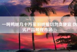 一吨鸭绒几十万买羽绒服切勿贪便宜 伪劣产品频现市场(2)