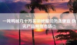 一吨鸭绒几十万买羽绒服切勿贪便宜 伪劣产品频现市场(2)