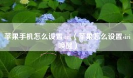 苹果手机怎么设置siri（苹果怎么设置siri唤醒）