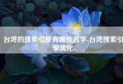 台湾的搜索引擎有哪些名字-台湾搜索引擎优化