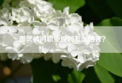 面试被问职业规划怎么回答？