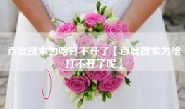 百度搜索为啥打不开了【百度搜索为啥打不开了呢】