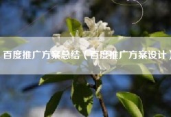 百度推广方案总结（百度推广方案设计）