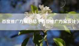 百度推广方案总结（百度推广方案设计）