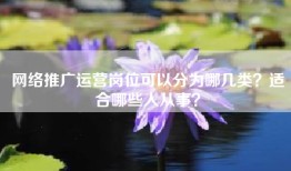 网络推广运营岗位可以分为哪几类？适合哪些人从事？