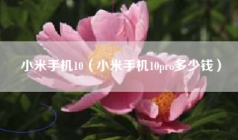 小米手机10（小米手机10pro多少钱）
