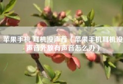 苹果手机 耳机没声音（苹果手机耳机没声音外放有声音怎么办）