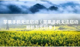 苹果手机无法启动（苹果手机无法启动相机怎么回事）
