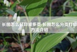 长图怎么打印成多页-长图怎么分页打印方法介绍