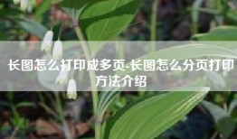 长图怎么打印成多页-长图怎么分页打印方法介绍