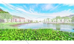 车企狂卷智驾，离全部标配还有多远？