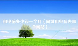 租电脑多少钱一个月（同城租电脑去哪个网站）