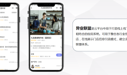 二级分销链动2+1模式的整体介绍
