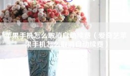 苹果手机怎么取消自动续费（爱奇艺苹果手机怎么取消自动续费）