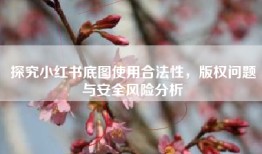 探究小红书底图使用合法性，版权问题与安全风险分析
