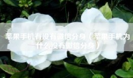 苹果手机有没有微信分身（苹果手机为什么没有微信分身）