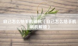 自己怎么给手机刷机（自己怎么给手机刷机解锁）