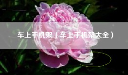 车上手机架（车上手机架大全）