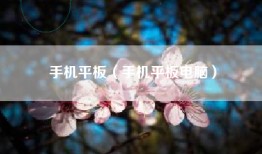 手机平板（手机平板电脑）