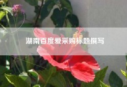 湖南百度爱采购标题撰写