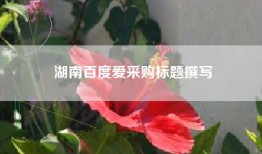 湖南百度爱采购标题撰写