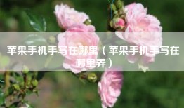 苹果手机手写在哪里（苹果手机手写在哪里弄）