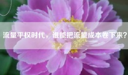 流量平权时代，谁能把流量成本卷下来？
