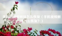 手机的视频删除怎么恢复（手机视频删除怎么恢复？）