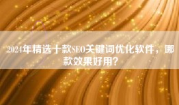 2024年精选十款SEO关键词优化软件，哪款效果好用？
