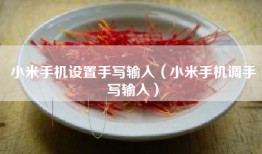 小米手机设置手写输入（小米手机调手写输入）