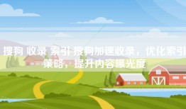 搜狗 收录 索引 搜狗加速收录，优化索引策略，提升内容曝光度