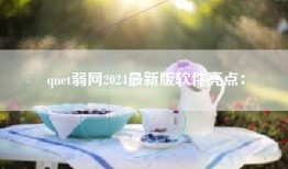 qnet弱网2024最新版软件亮点：