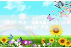 引流推广术语：引爆流量：从入门到精通的推广之道
