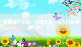 引流推广术语：引爆流量：从入门到精通的推广之道