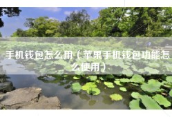 手机钱包怎么用（苹果手机钱包功能怎么使用）