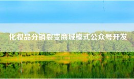 化妆品分销裂变商城模式公众号开发