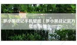 罗小黑战记手机壁纸（罗小黑战记官方壁纸 头像）