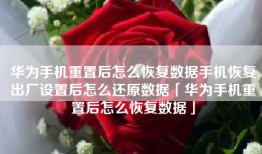 华为手机重置后怎么恢复数据手机恢复出厂设置后怎么还原数据「华为手机重置后怎么恢复数据」