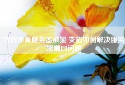 万博体育服务器被黑 支招如何解决服务器端口问题
