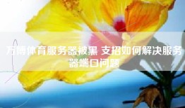 万博体育服务器被黑 支招如何解决服务器端口问题