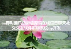 im即时通讯仿微信源码在线语音聊天社交交友软件群聊系统app开发