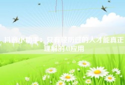 抖音小助手：只有经历过的人才能真正理解的AI应用