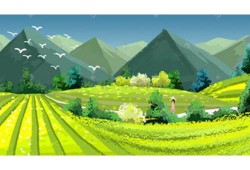 汽车兄弟给媳妇买极氪