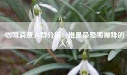 咖啡消费人群分析：谁是最爱喝咖啡的人？