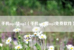 手机mp4转mp3（手机mp4转mp3免费软件）