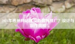 2024年惠州网站建设后如何推广？设计与制作流程