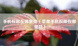 手机权限在哪里找（苹果手机权限在哪里找）