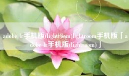 adobe lr手机版(lightroom)lightroom手机版「adobe lr手机版(lightroom)」